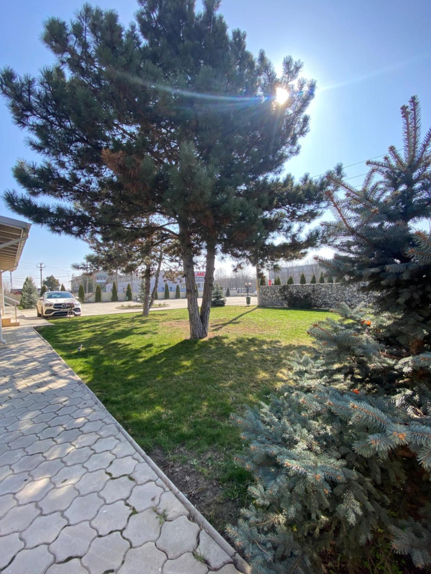 Hotel Terra Iasi Valea Lupului  Екстер'єр фото