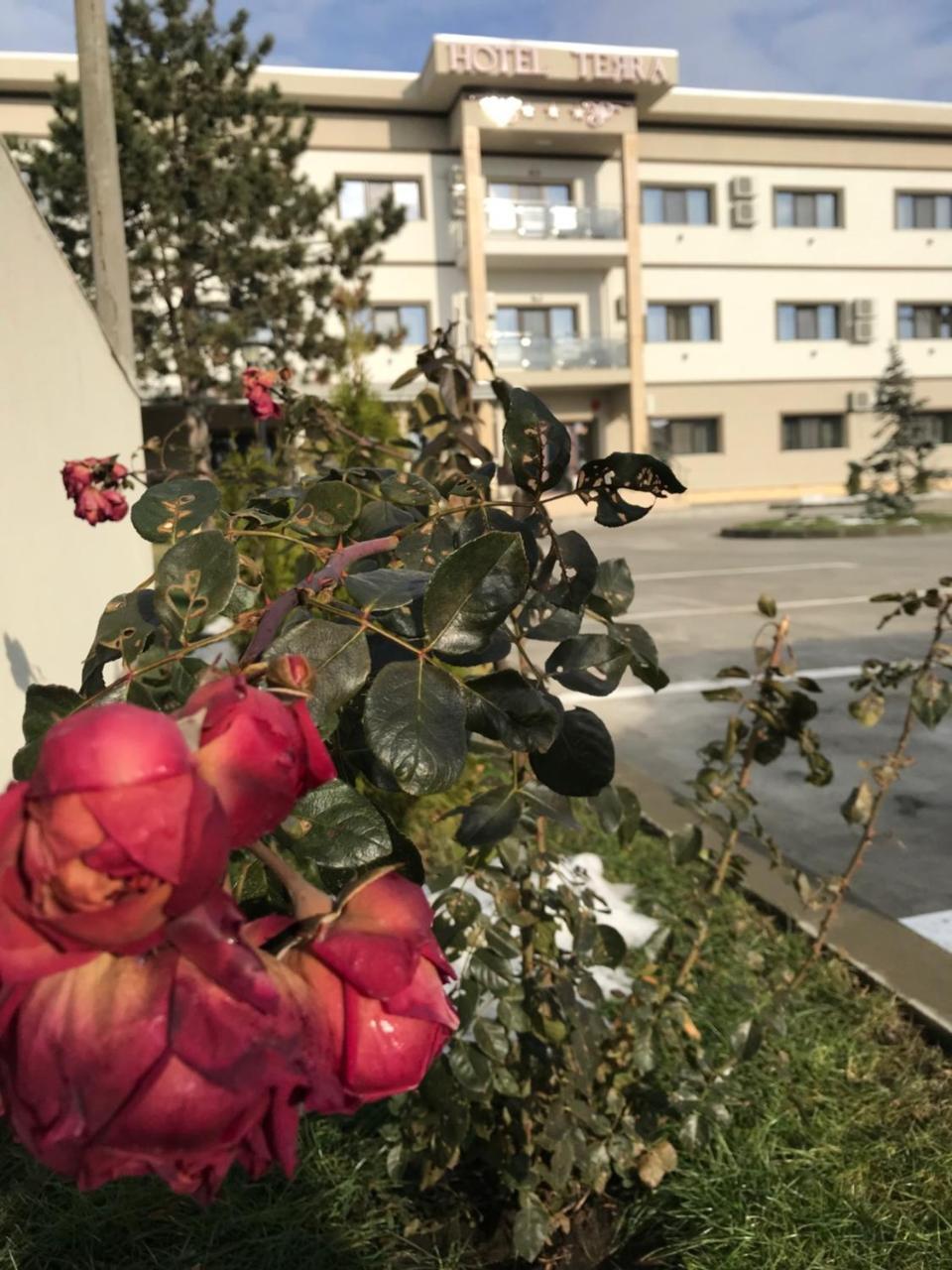 Hotel Terra Iasi Valea Lupului  Екстер'єр фото